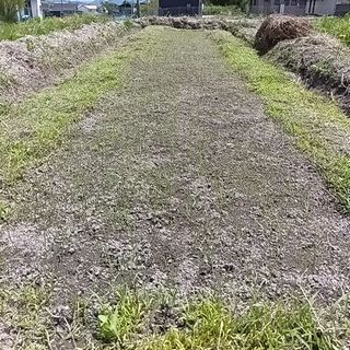 250504121549023.jpg