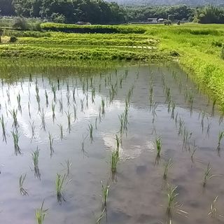250710151246911.JPG