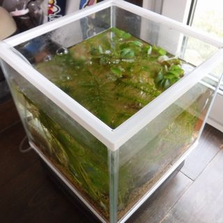 DSCF1013.JPG