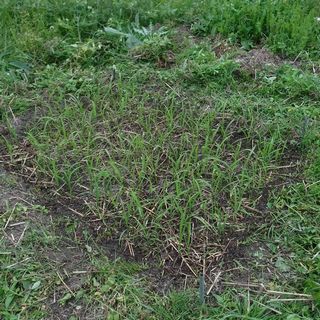 DSCF2294.jpg