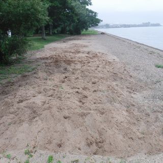 DSCF2467.JPG