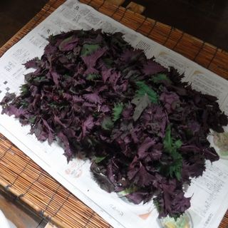 DSCF2497.jpg