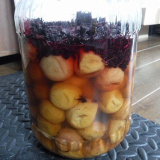DSCF2500.jpg