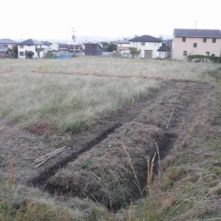 DSCF2785.jpg