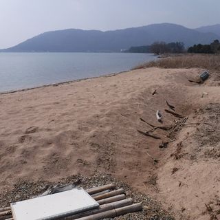 DSCF3220.jpg