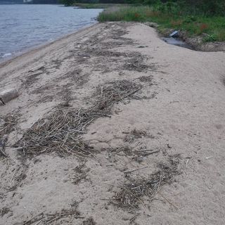 DSCF3333.jpg