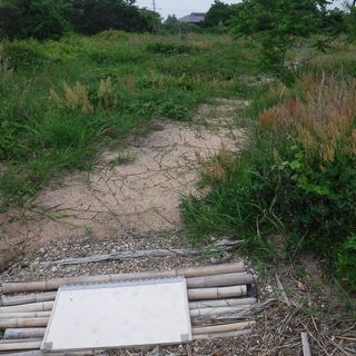 DSCF3334.jpg