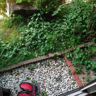 DSCF3356.jpg