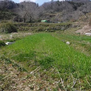 DSCF5052.JPG