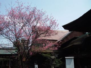 DSCF5391.JPG