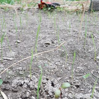 DSCF5656.JPG