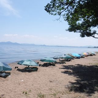 DSCF7891.jpg