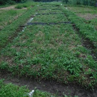 DSCF9561.jpg