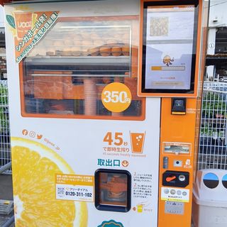 250618180949253.jpg