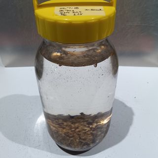 250728184359992.jpg