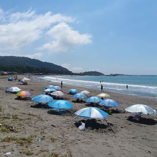 250906110859115-01.jpg