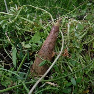 DSCF2169.jpg