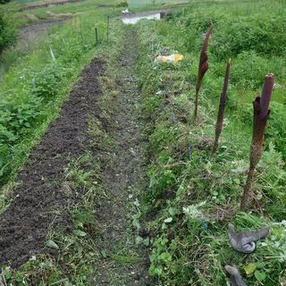 DSCF2277.jpg