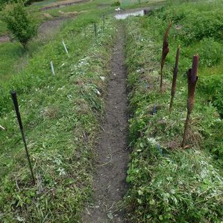 DSCF2281.jpg