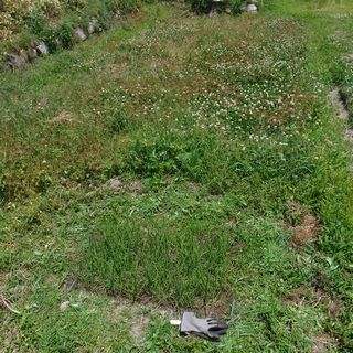 DSCF2360.jpg