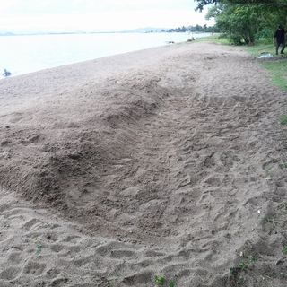DSCF2510.jpg