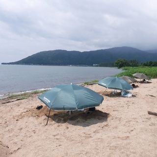 DSCF2513.jpg