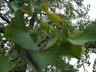 DSCF2942.JPG