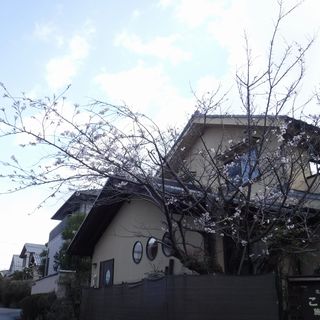 DSCF3254.JPG