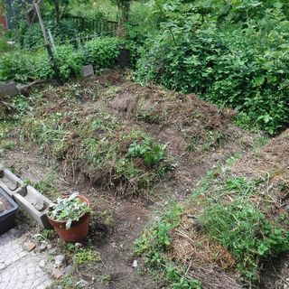 DSCF3338.jpg