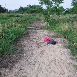 DSCF3340.jpg