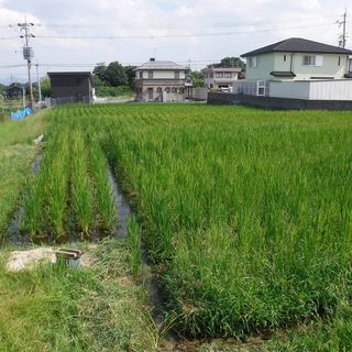 DSCF3528.jpg