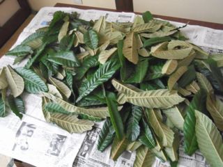 DSCF7432.JPG