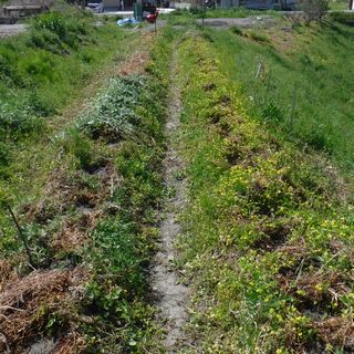 DSCF7555.JPG