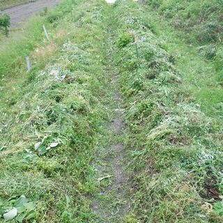 DSCF7641.jpg