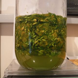 DSCF9687.JPG