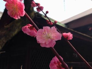 IMG_0277.JPG
