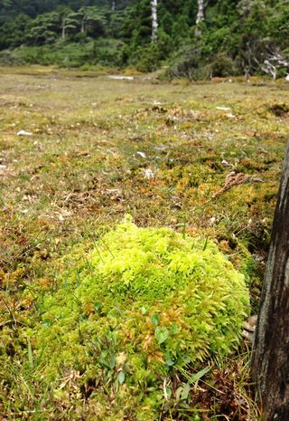 IMG_4415.JPG