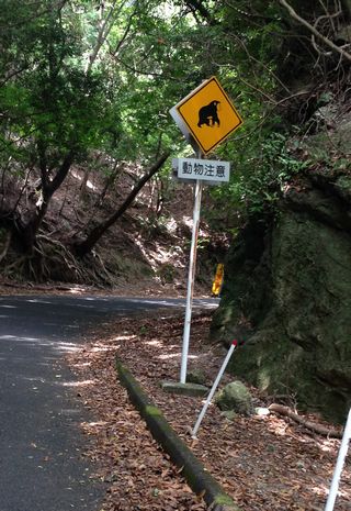 IMG_4503.JPG